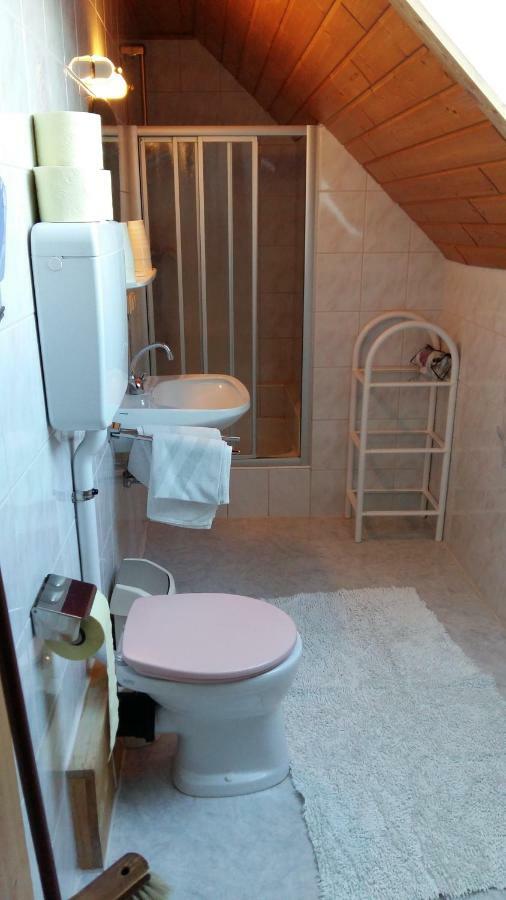 Pension - Bauernhof Санкт-Лоренцен-об-Мурау Экстерьер фото