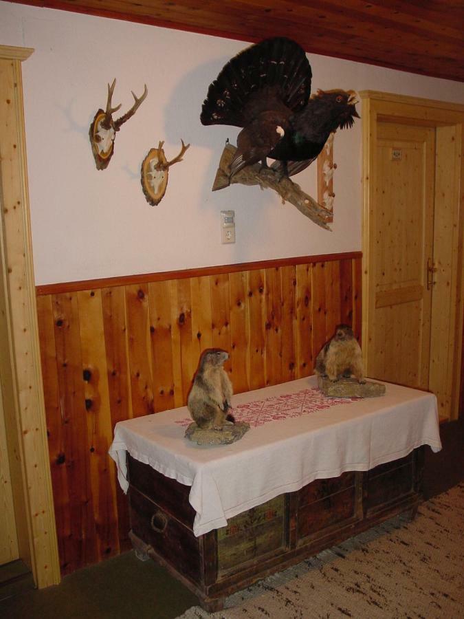 Pension - Bauernhof Санкт-Лоренцен-об-Мурау Экстерьер фото