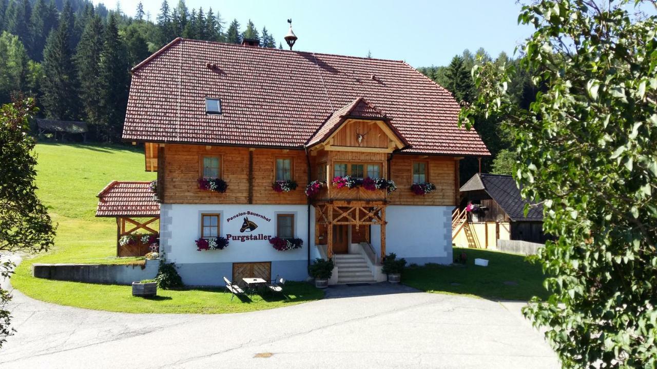 Pension - Bauernhof Санкт-Лоренцен-об-Мурау Экстерьер фото